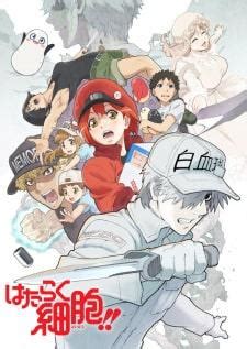 hataraku saibou download|Hataraku Saibou .